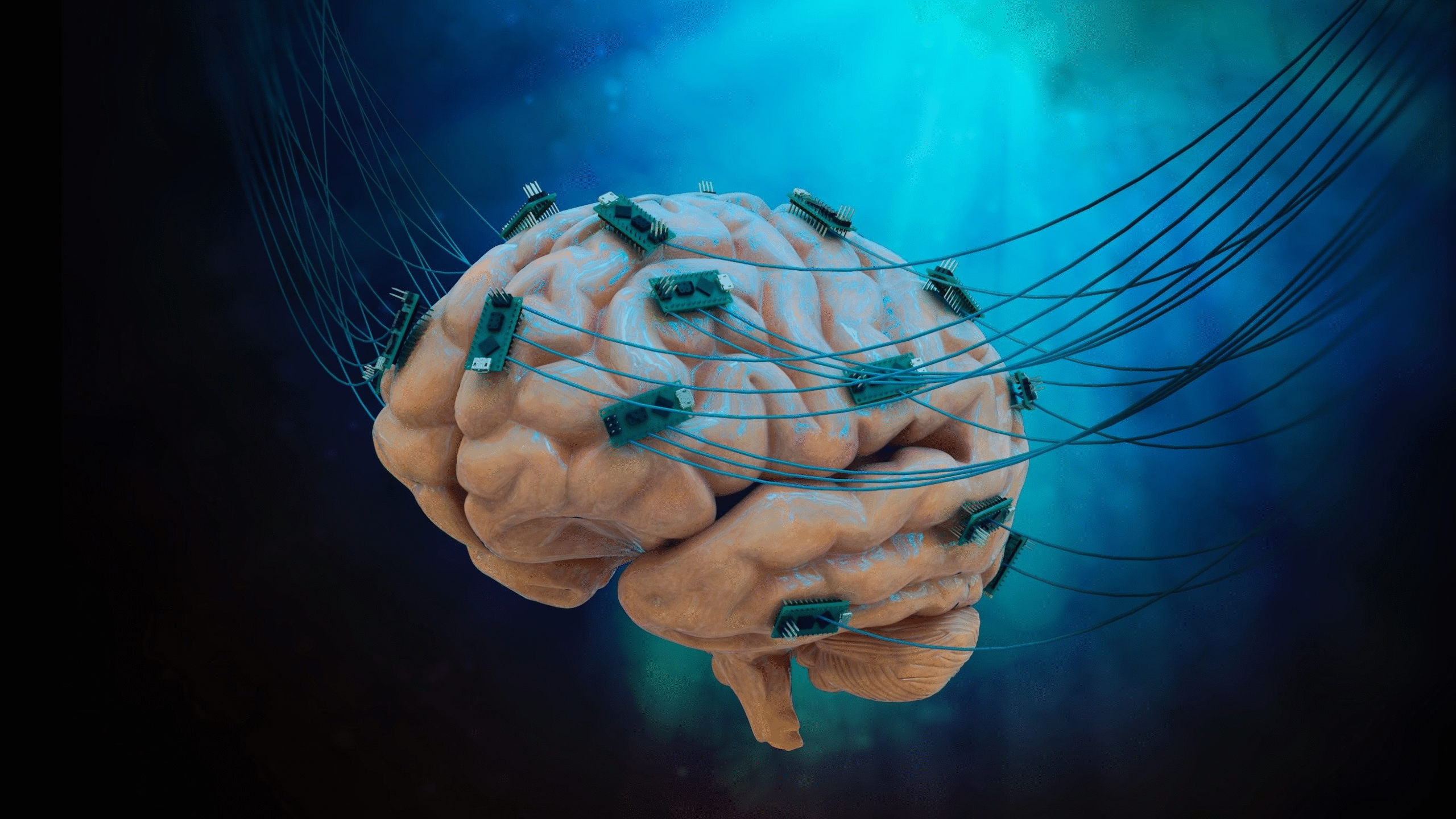 Human Brain Cell Chip