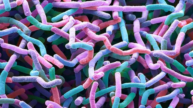 AI and Backyard Dirt Team Up to Unearth Promising New Antibiotic Lariocidin