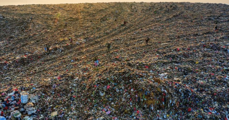 New Global Health Tracker Released to Monitor Plastic Pollution’s Impact on Human Disease