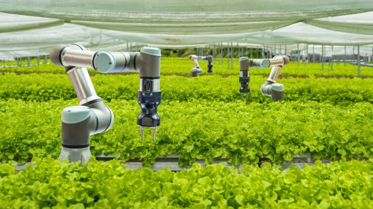 Carnegie Mellon Unveils SonicBoom Sensor That Helps Farm Robots “Feel” Crops They Can’t See