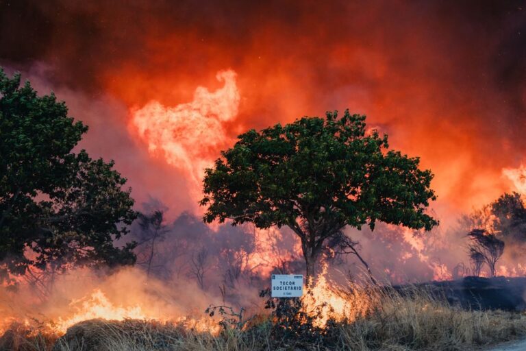Southern Europe Burns as Wildfires Rage, Spain Deploys 500 More Troops to Fight Blazes