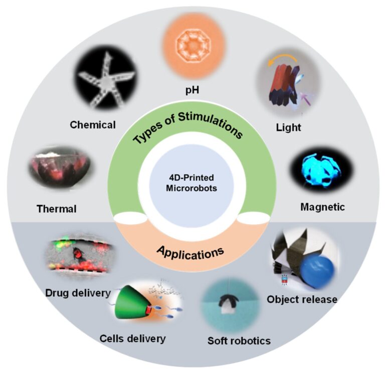 Microrobots Smaller than Rice Grains Could Revolutionize Drug Delivery